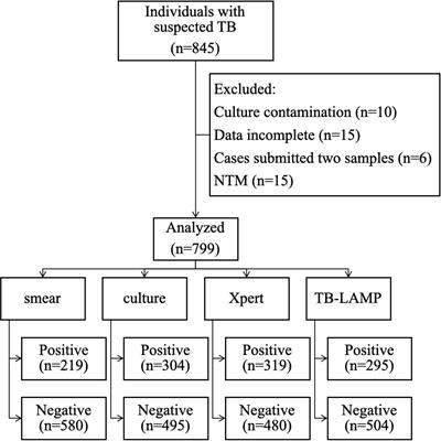 Diagnostic accuracy of loop-mediated isothermal amplification for pulmonary tuberculosis in China